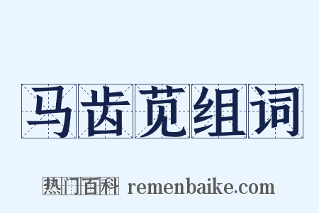 马齿苋组词是什么意思的图片